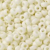 MIYUKI Round Rocailles Beads SEED-X0055-RR2021-3