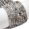 Natural Labradorite Beads Strands LS-G-RM250104-E8-2