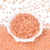 FGB Frosted Transparent Glass Seed Beads SEED-N013-05A-04-2