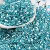 Glass Seed Beads SEED-M011-01B-06-1