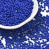 Baking Paint Glass Seed Beads SEED-S001-01-1