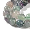 Natural Fluorite Beads Strands G-P530-B04-04-3