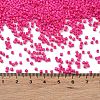 Baking Paint Glass Seed Beads X-SEED-S042-05B-68-4