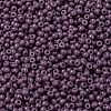 MIYUKI Round Rocailles Beads SEED-JP0009-RR4489-3