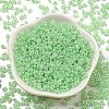 Ceylon Glass Seed Beads SEED-K009-02B-27-2