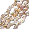 Drawbench Style Natural Freshwater Shell Beads Strands SHEL-F003-05-1