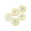 Natural Freshwater Shell Connector Charms SHEL-XCP0001-05-4