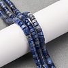 Natural Sodalite Beads Strands G-H230-72-1