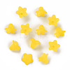 Transparent Acrylic Beads PLF018-19-2