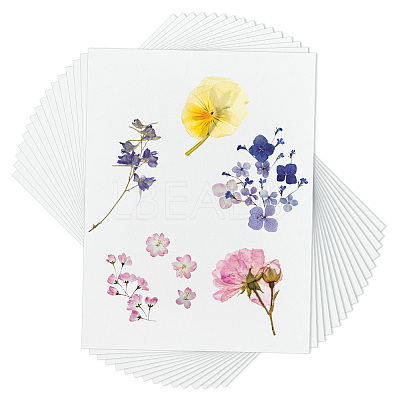 Dried Embossed Paper DIY-WH0622-646A-1
