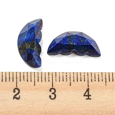 Natural Lapis Lazuli Dyed Butterfly Wing Cabochons G-D078-02G-1