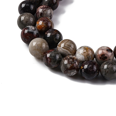 Natural Mexico Crazy Agate Beads Strands G-L615-A01-04-1