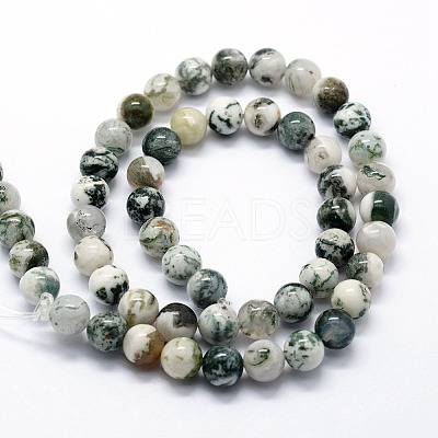 Natural Tree Agate Beads Strands X-G-I199-03-4mm-1