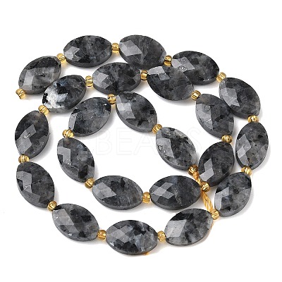 Natural Larvikite Beads Strands G-A295-A03-01-1