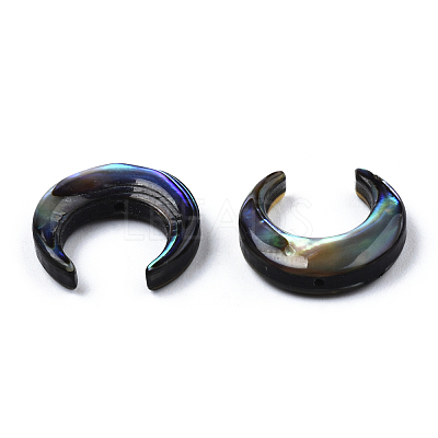 Natural Abalone Shell/Paua Shell Beads SSHEL-N034-122B-01-1