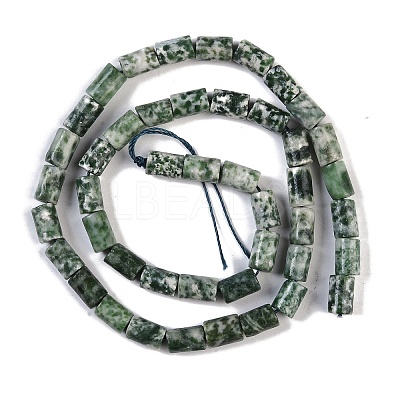 Natural Green Spot Jasper Beads Strands G-C128-A17-01-1