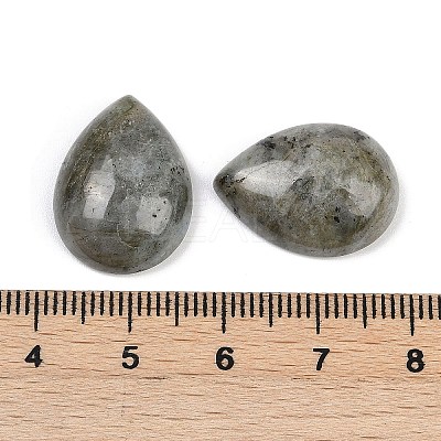 Natural Labradorite Cabochons G-H094-01A-19-1