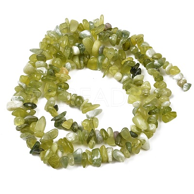 Natural Jade Chip Beads Strands G-B160-B02-1