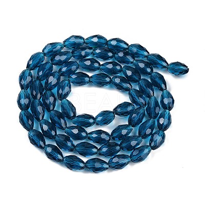 Transparent Glass Beads Strands X-EGLA-N013-T10mm-D25-1
