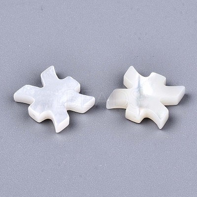 Natural White Shell Beads X-SSHEL-ZX004-02E-1