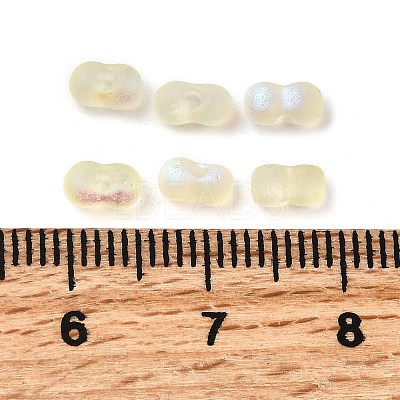Glass Frosted Seed Beads LS-SEED-NH0002-01F-1