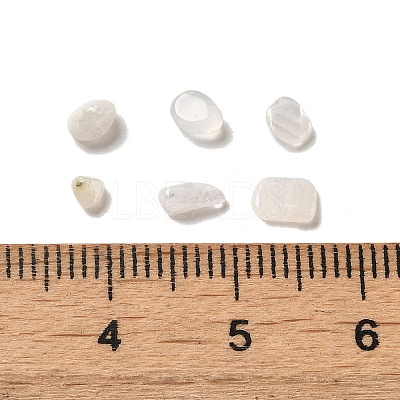 Natural White Moonstone Beads G-O103-32-1