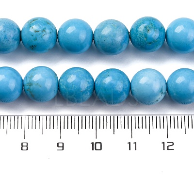 Dyed Natural Magnesite Beads Strands G-P558-A01-01A-1