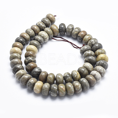 Natural Fossil Coral Beads Strands G-K256-10D-1