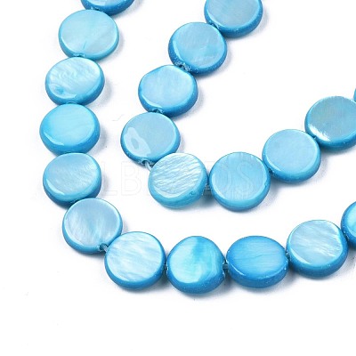 Freshwater Shell Beads Strands SHEL-T009-B16-05-1