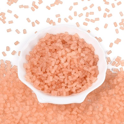 FGB Frosted Transparent Glass Seed Beads SEED-N013-05A-04-1