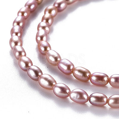 Natural Cultured Freshwater Pearl Beads Strands PEAR-N012-02D-1