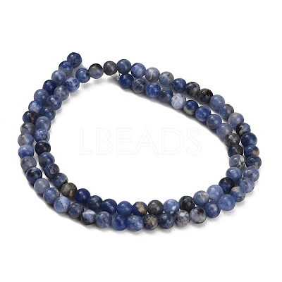 Natural South Africa Sodalite Beads Strands LS-G-S259-35-4mm-1