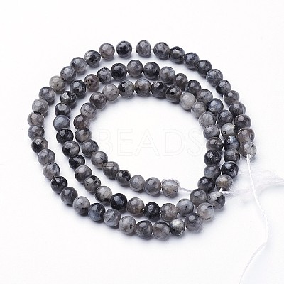Natural Larvikite Beads Strands GSR3mmC128-1