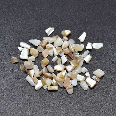 Dyed Natural Freshwater Shell Chips Beads X-SHEL-O001-17B-1