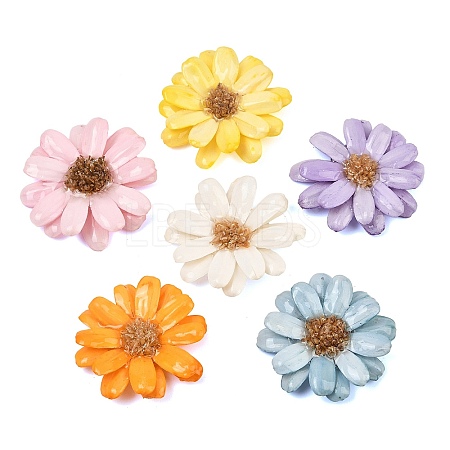 Epoxy Resin & Dried Flower Big Pendants RE-CBAAE94-01-1