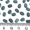 Grade A Glass Seed Beads X-SEED-R050-2376-3