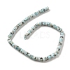 Natural Larimar Beads Strands G-Q024-B03-05-3