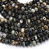 Natural African Turquoise(Jasper) Beads Strands G-Z111-A13-01-4