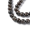 Natural Labradorite Beads Strands G-G0003-C03-12mm-4