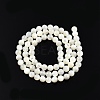Natural White Shell Bead Strands SSHEL-N003-144D-01-2