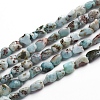 Natural Larimar Beads Strands X-G-D0002-B38-4