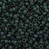 MIYUKI Round Rocailles Beads SEED-G007-RR0156F-3