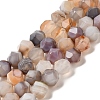Natural Botswana Agate Beads Strands G-K382-A14-02-2