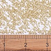 MIYUKI Delica Beads SEED-X0054-DB0621-4