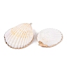 Natural Scallop Shell Big Pendants SSHEL-N038-13-1