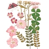 Pressed Dried Flowers DIY-YWC0001-95-1