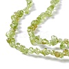 Natural Peridot Chip Beads Strands G-G905-09-4