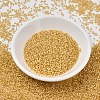 MIYUKI Delica Beads SEED-X0054-DB2186-2