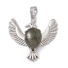Natural Labradorite Pendants G-P484-05P-06-2