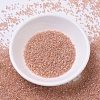 MIYUKI Delica Beads X-SEED-J020-DB0054-2